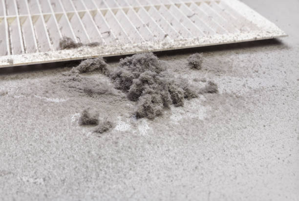 Best HVAC Duct Inspection Services  in Brackenridge, PA