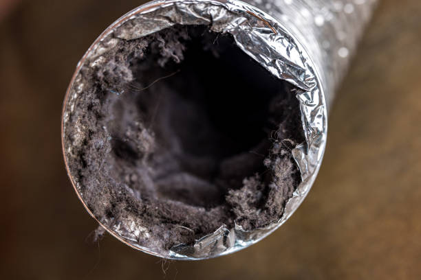 Best HVAC Air Duct Cleaning  in Brackenridge, PA